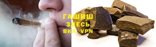 гидра Покачи