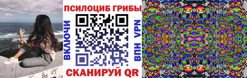darknet клад  Кедровый  Галлюциногенные грибы прущие грибы  где найти наркотики 
